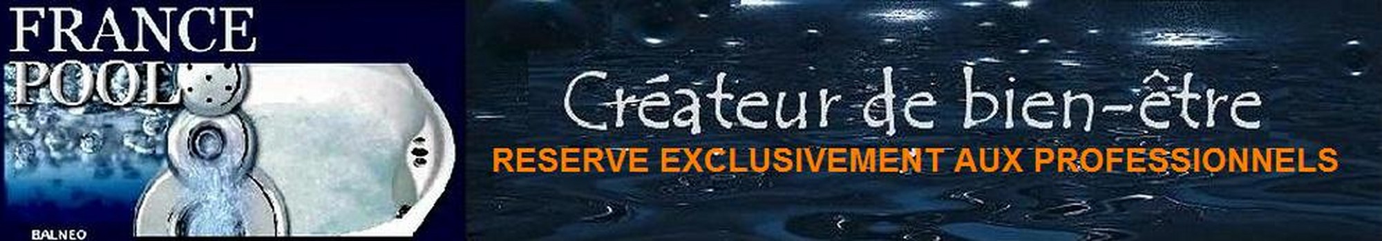 logo boutique fp.jpg